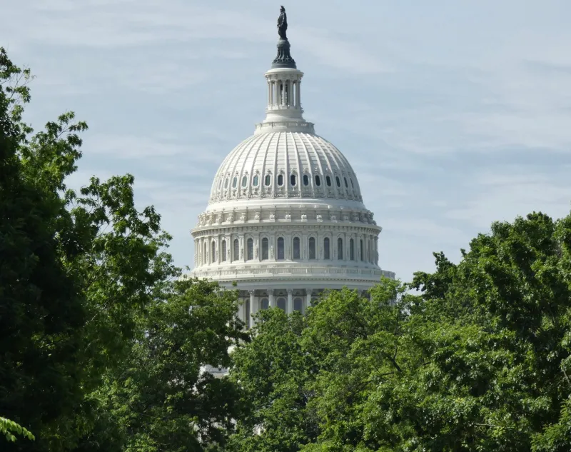 Loyalty Tests on the Hill: How Committee Assignments Became the Currency of Congressional Discipline
